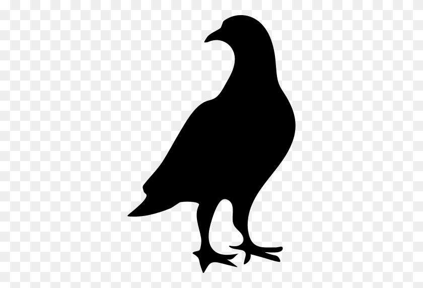 512x512 Pigeon Png Icon - Pigeon PNG