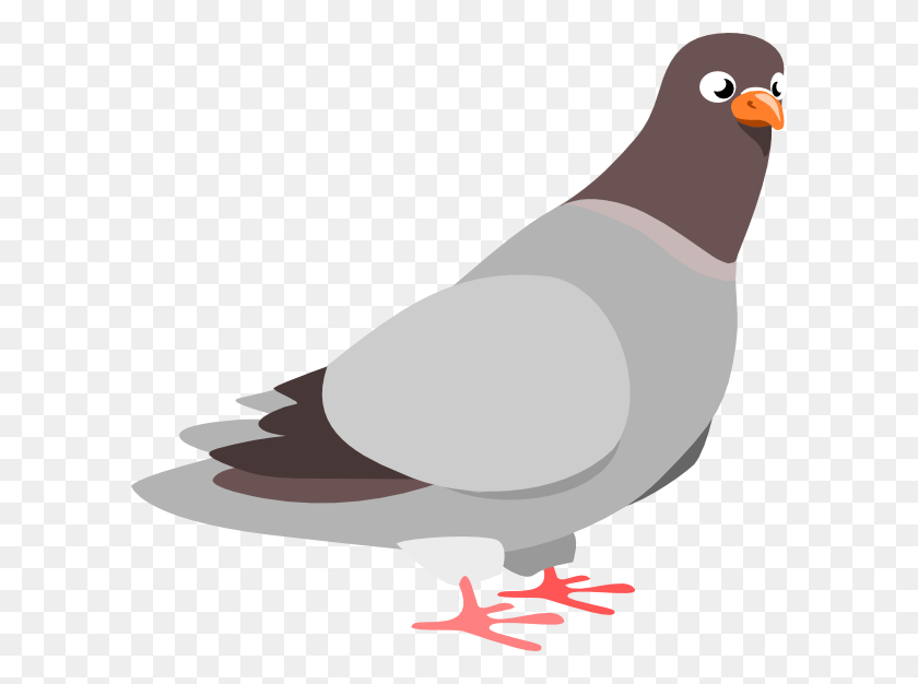 600x566 Pigeon Png Images, Icon, Cliparts - Doves Flying PNG