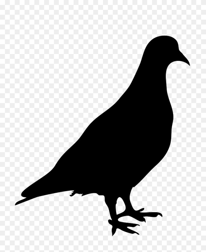 952x1181 Pigeon Silhouette Royalty Free Vector Clip Art Image - Pigeon Clipart Black And White