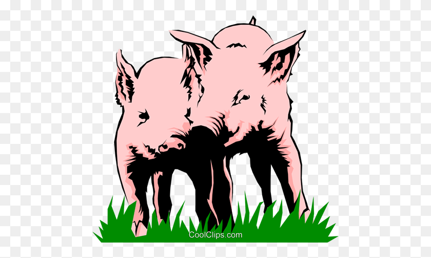 480x442 Pigs Playing Royalty Free Vector Clip Art Illustration - Pig Head Clipart
