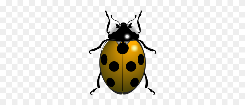 241x300 Pill Bug Clipart - Beetle Clipart En Blanco Y Negro