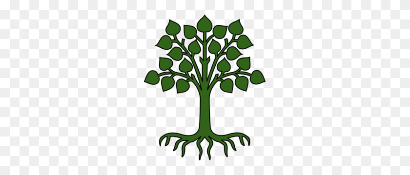 249x299 Pin The Roots On The Tree Game! Cut Tree With Rootsleaves Out - Tree From Above PNG