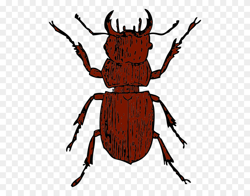 512x600 Escarabajo De Pino Png Cliparts For Web - Beetle Car Clipart
