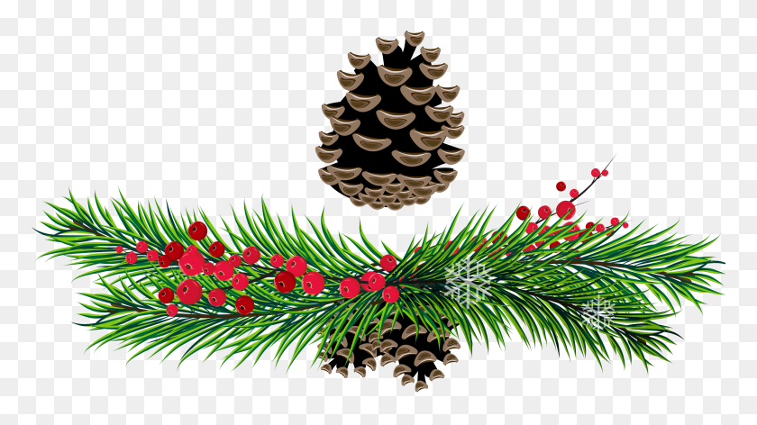 5610x2967 Pine Branches And Pine Cones Png - Pine Cone PNG