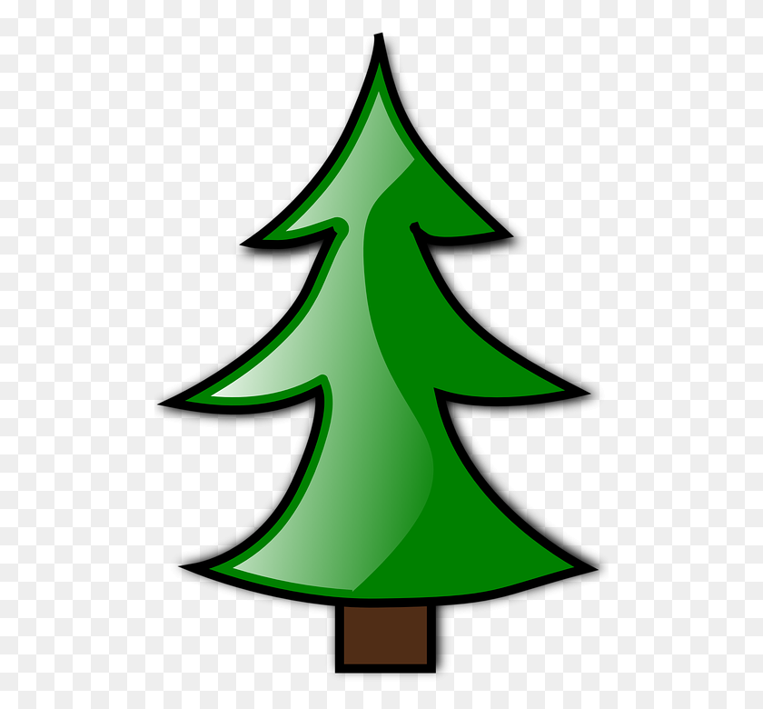 500x720 Pine Clipart Conifer - Pine Branch Clipart