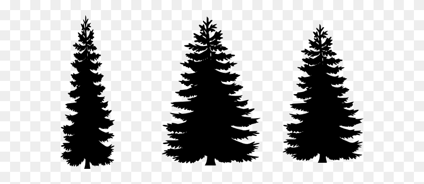 600x304 Pine Clipart Vector - Family Tree Clipart Free