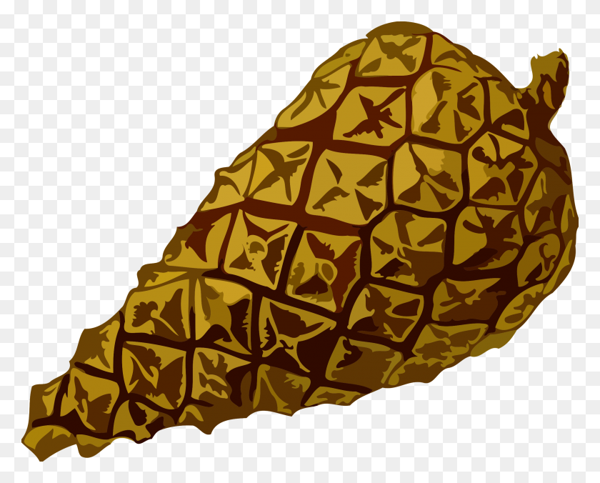 2400x1897 Pine Cone - Pine Cone PNG