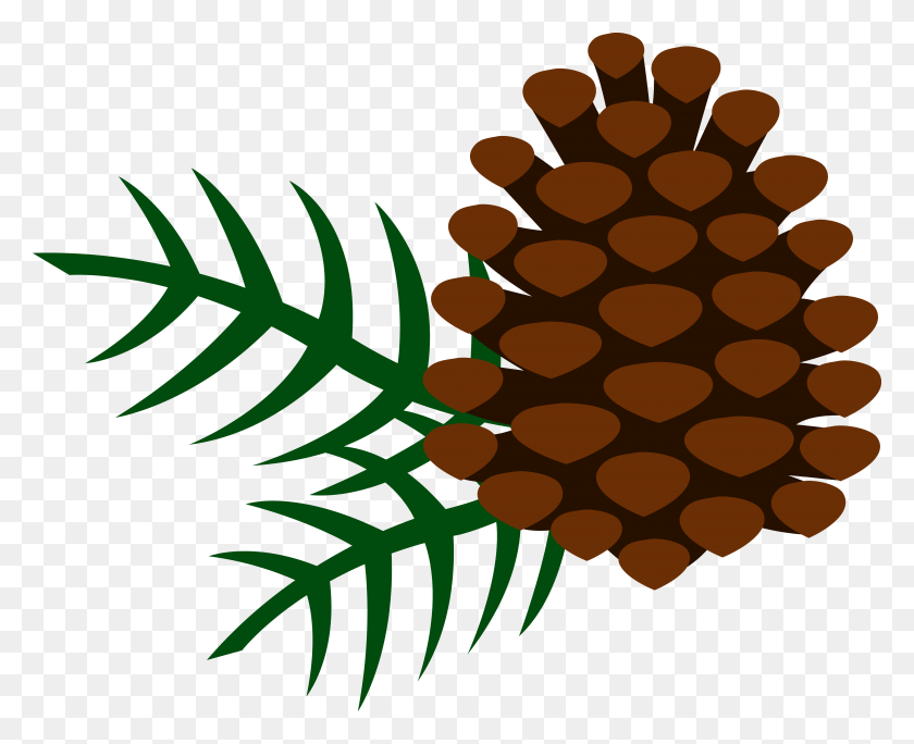 6543x5237 Pine Cone And Pine Needles - Cone Clipart