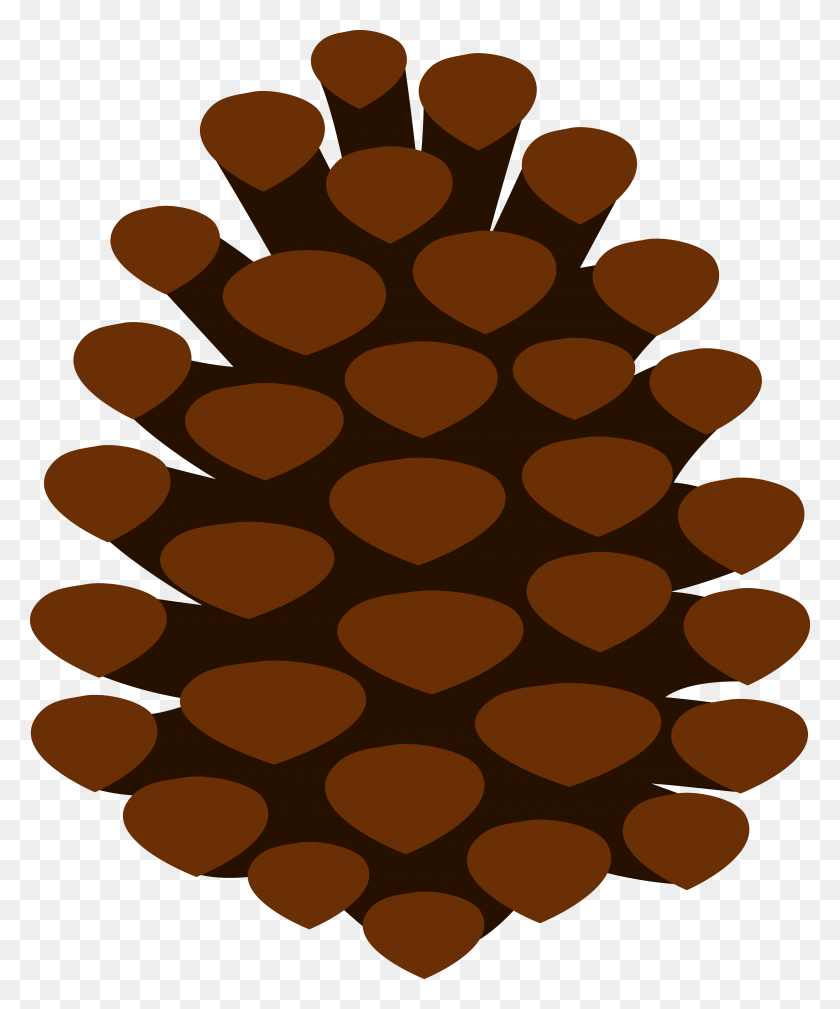 4654x5663 Pine Cone Clip Art - Tree Branch Clipart PNG