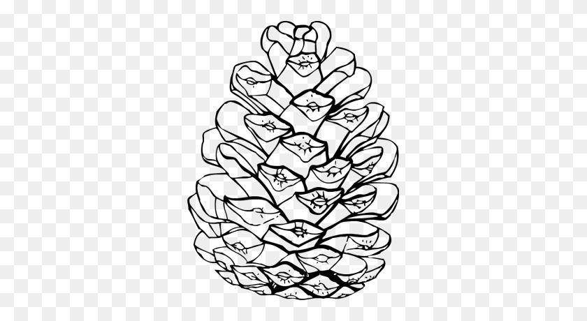 303x400 Pine Cone Clipart Black And White - Family Tree Clipart Black And White