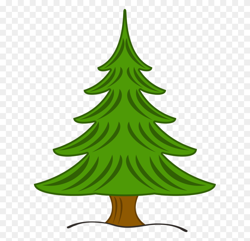 611x750 Pine Fir Christmas Tree Spruce - Pine PNG