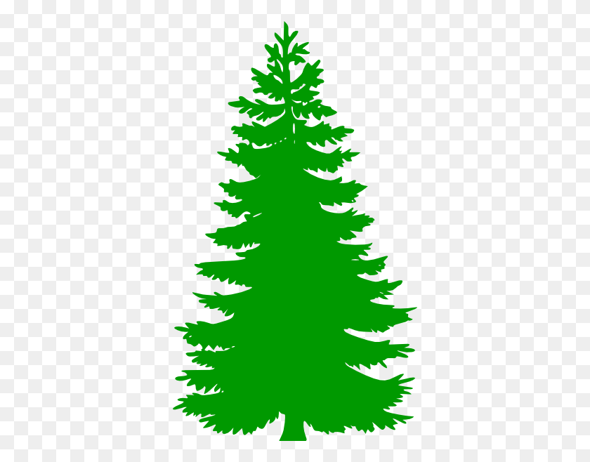 348x598 Pine Tree - Tall Tree Clipart