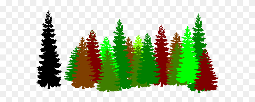 600x277 Pine Tree Clipart Forrest - Pine Tree Branch PNG