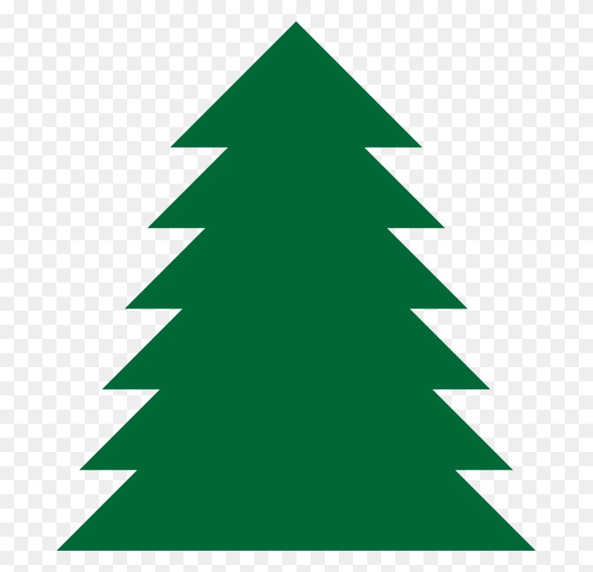 679x750 Pine Tree Fir Drawing Spruce - Spruce Tree Clip Art
