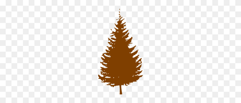 156x299 Pine Tree Png, Clip Art For Web - Pine Branch Clipart
