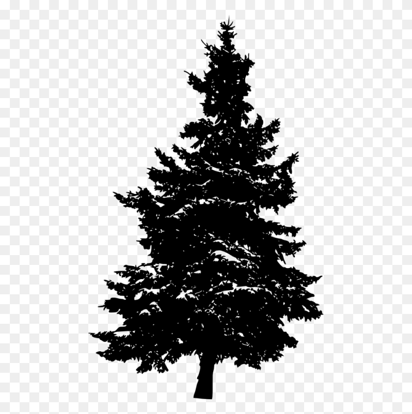 480x784 Pine Tree Silhouette Png - Pine Branch PNG