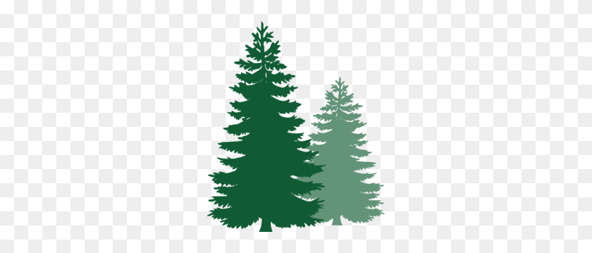 252x299 Pine Trees Clip Art - Pine Branch Clipart