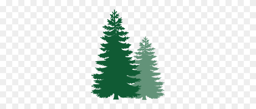 243x298 Pine Trees Clip Art - Pine Tree Border Clipart