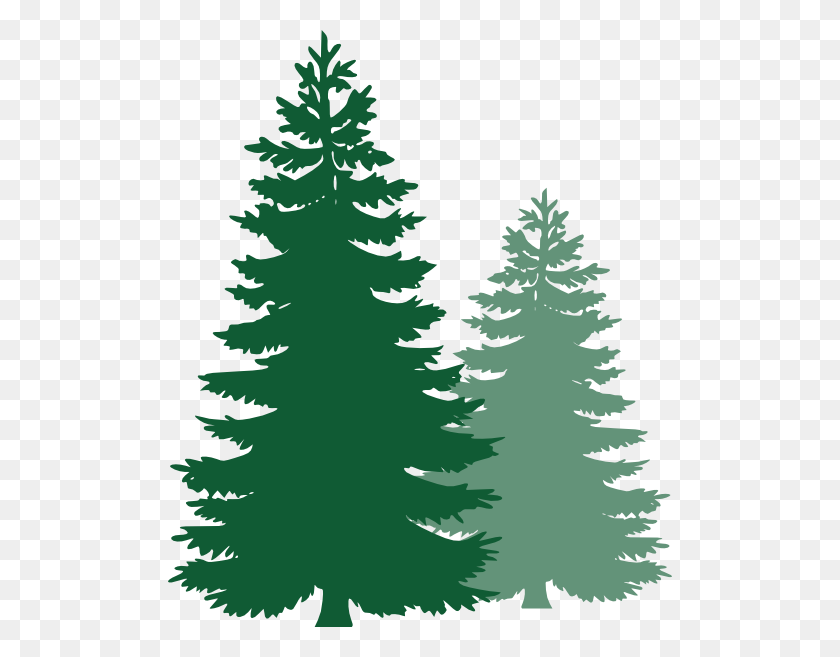 504x597 Pine Trees Clip Art - Fir Tree Clipart