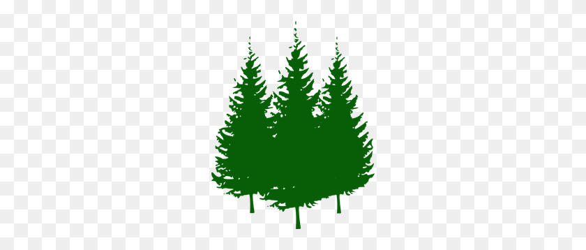 234x298 Сосны Png Клипарт Для Интернета - Вечнозеленое Дерево Png