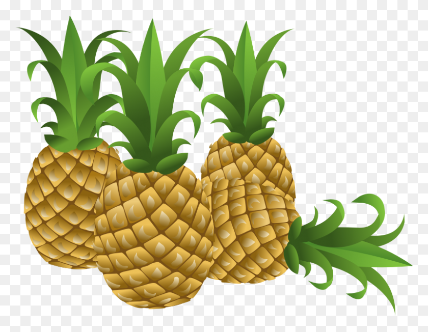 800x608 Pineapple Clipart - Fruit Clipart