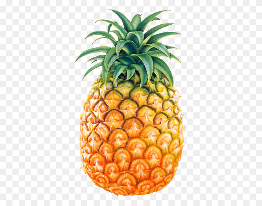 360x600 Pineapple Clipart Nice Clip Art - Pineapple Clipart PNG