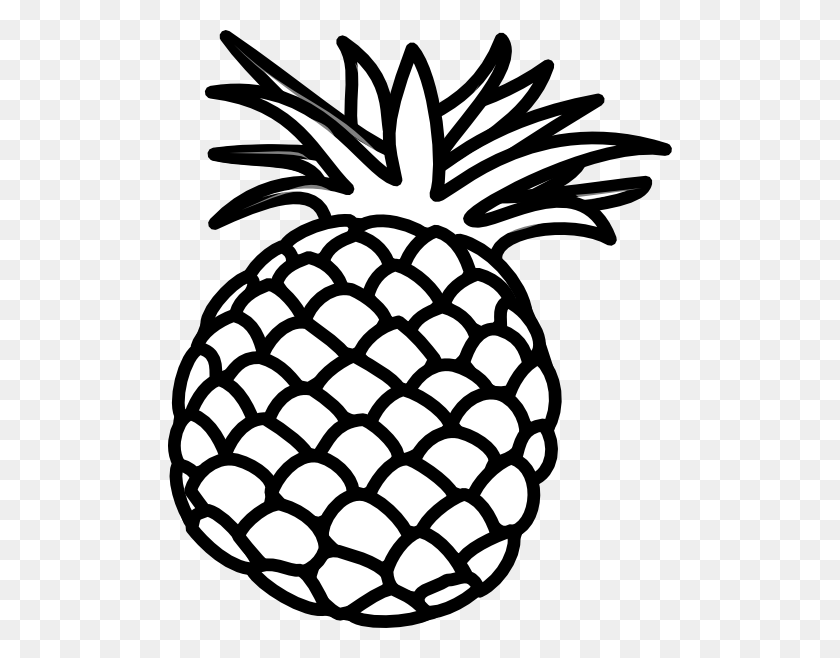 504x598 Pineapple Coloring Pages - Zentangle Clipart