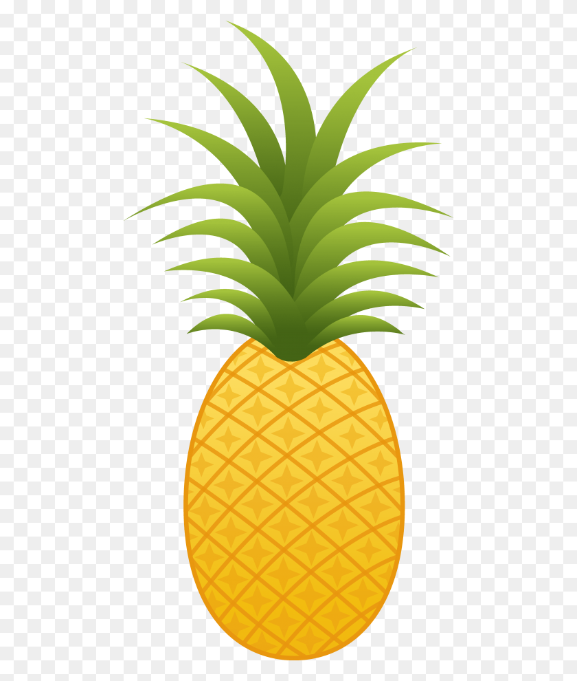 480x930 Pineapple Png - Pinapple PNG