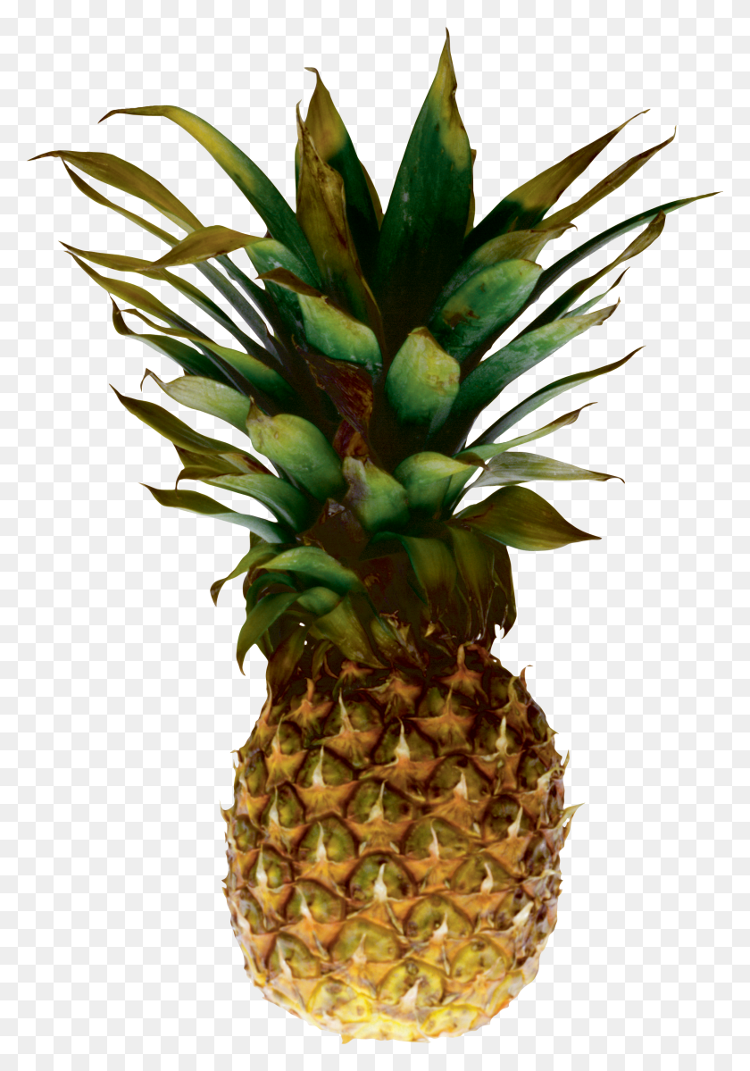 2148x3138 Pineapple Png Images Free Pictures Download - Pinapple PNG