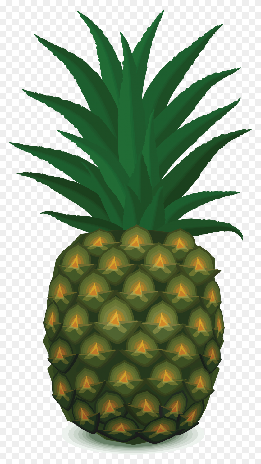 2174x4000 Pineapple Png Images Transparent Free Download - Pinapple PNG