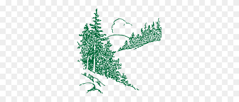 297x300 Сосны Картинки - Вечнозеленое Дерево Клипарт