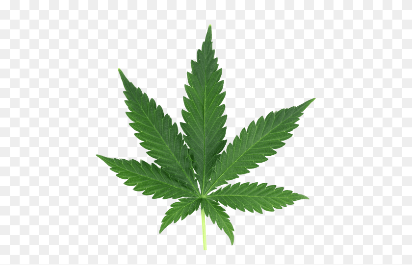 Kawaii Cannabis Stoner Shopping Bag Cute Weed Leaf Kush Love - Bag Of ...