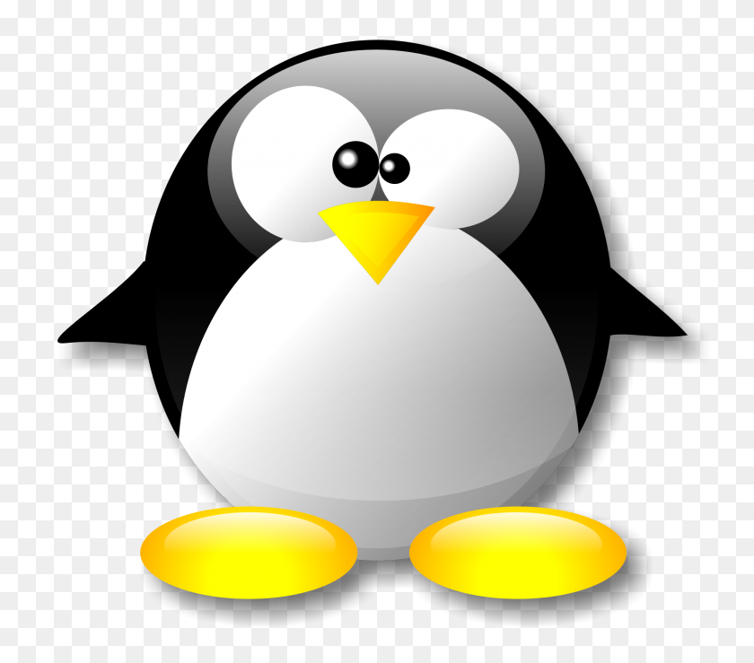 2000x1742 Pinguim Crystal - Penguin PNG