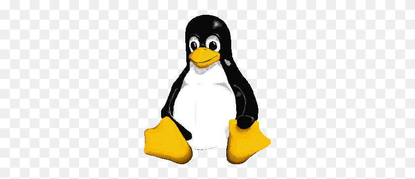 257x303 Pingus - Pingu PNG