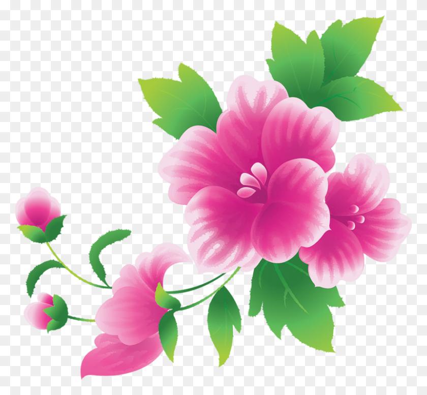800x736 Розовый И Фиолетовый Цветок Границы Картинки Садовый Цветок - Фиолетовый Цветок Границы Клипарт