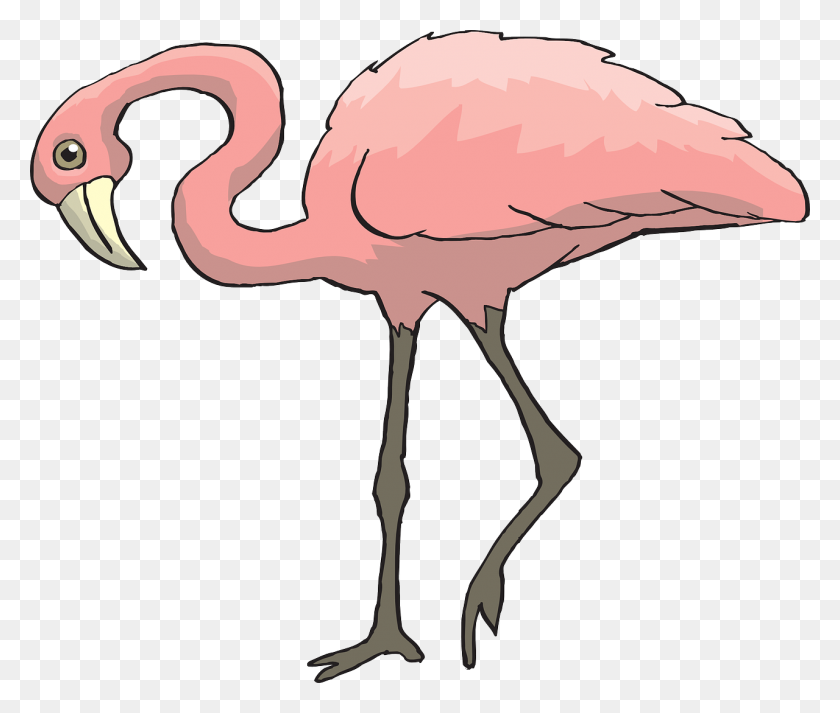 1280x1073 Pink, Bird, Flamingo, Long, Neck - Pink Flamingo Clip Art