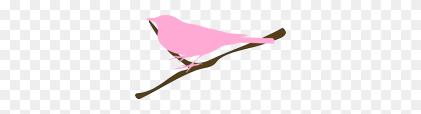 300x168 Imágenes Prediseñadas De Pájaro Rosa En Ramita - Twig Clipart