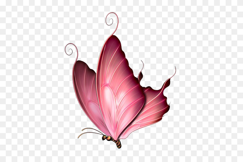 427x500 Розовая Бабочка Png Изображения - Розовая Бабочка Png