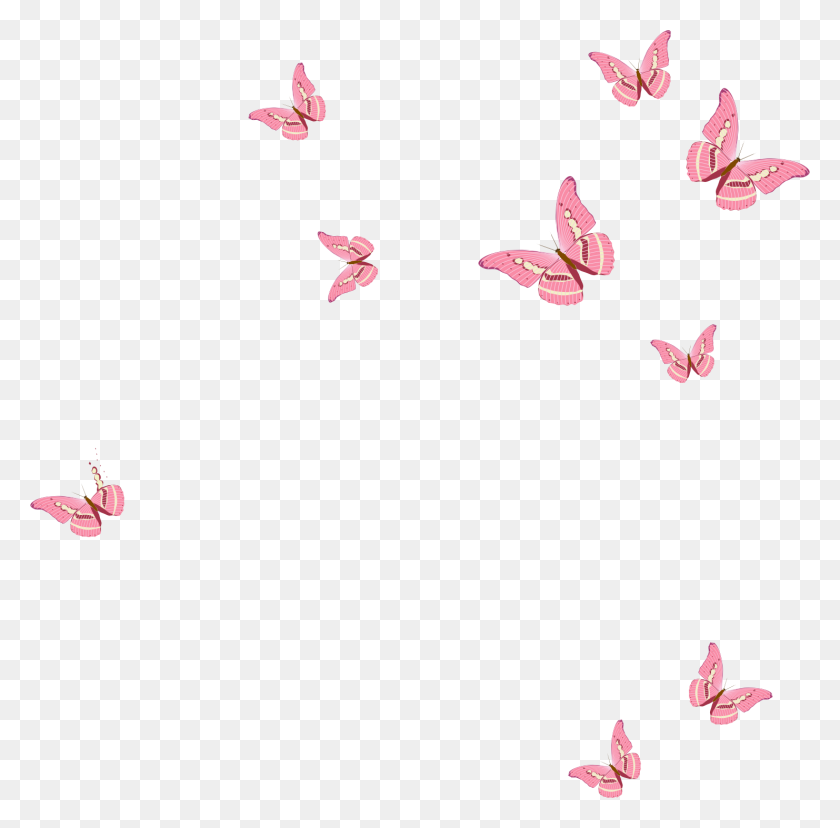 1482x1460 Розовая Бабочка Стоковые Фотографии Rf Розовая Бабочка Изображения - Розовая Бабочка Png
