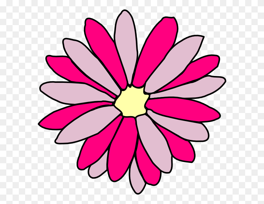 600x590 Pink Daisy Flower Png - Gerber Daisy Clip Art