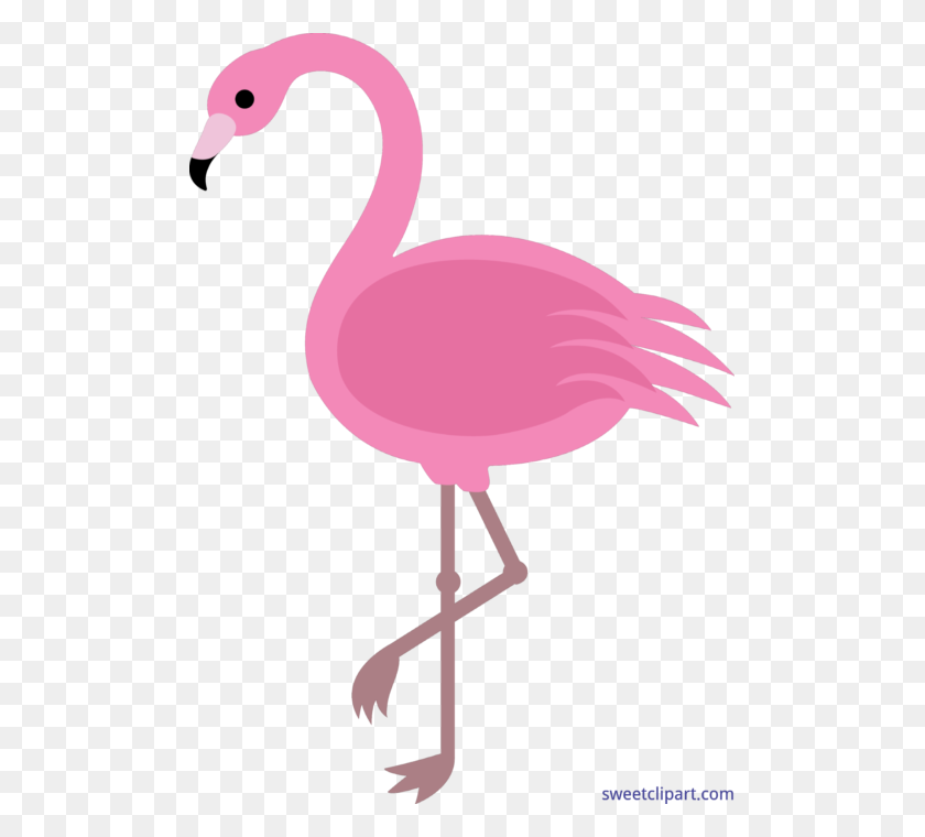 495x700 Pink Flamingo Clip Art - Pink Flamingo Clip Art