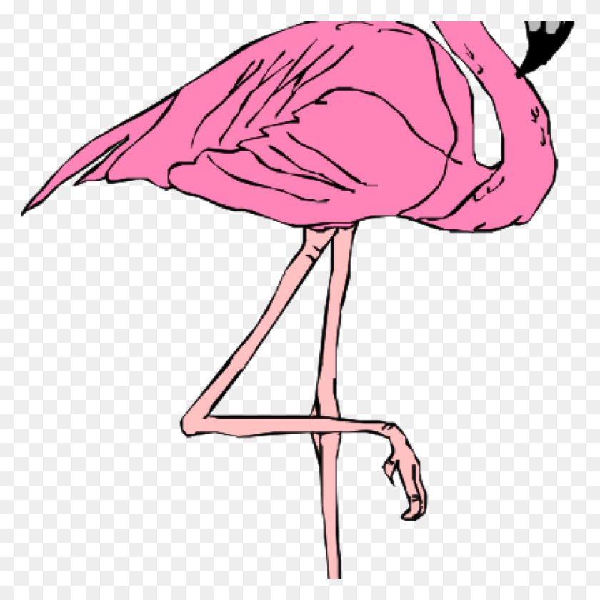 1024x1024 Pink Flamingo Clip Art Pig Clipart House Clipart Online Download - Strawberry Shortcake Clipart