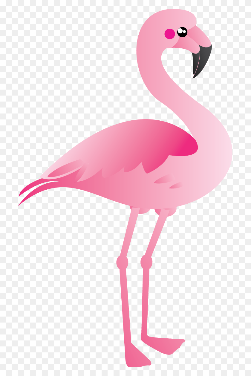717x1199 Розовый Фламинго Клипарт Пара Розовых Птиц Цифровой Картинки - Акварель Птица Клипарт