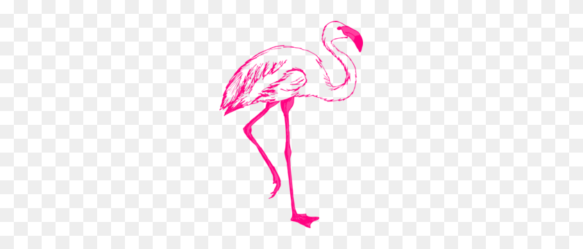 207x299 Розовый Фламинго Контур Картинки - Фламинго Клипарт В Png