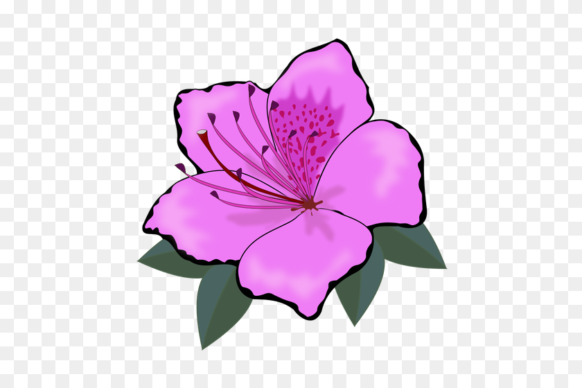 500x500 Pink Flower Clip Art Graphics - Realistic Flower Clipart