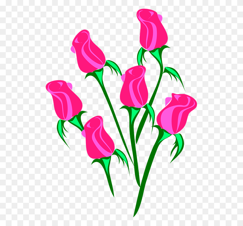 523x720 Pink Flower Clipart Real Rose - Real Flower Clipart