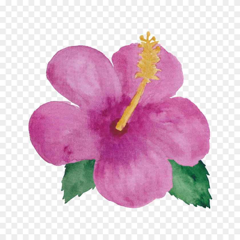 1024x1024 Png Розовый Цветок Маленькая Принцесса Png Изображения