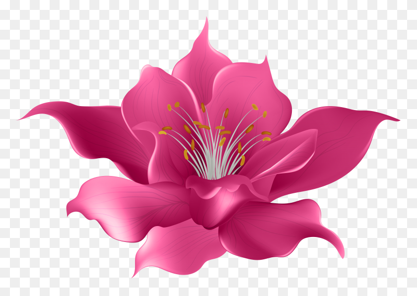 8000x5516 Pink Flower Transparent Clip Art - Pink Flowers PNG