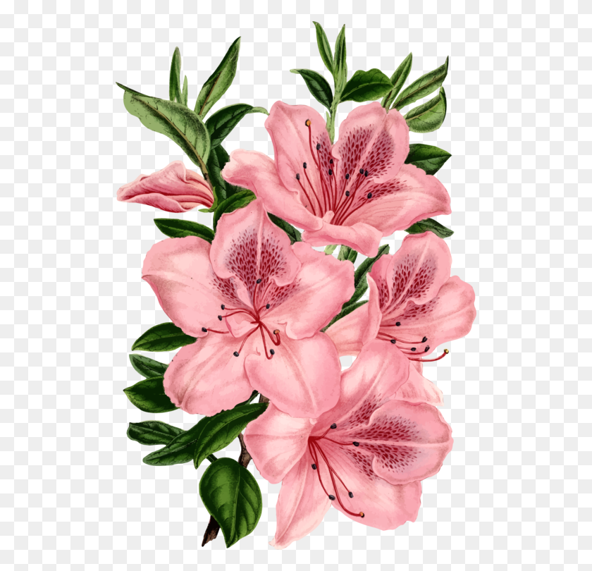 512x750 Розовые Цветы Букет Роз Цветочный Дизайн - Букет Цветов Png