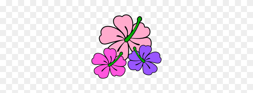 250x250 Розовый Цветок Гибискуса Клипарт - Гавайский Цветочный Клипарт